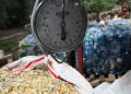 MUI dan Greenpeace Dukung Kampanye Pantang Plastik