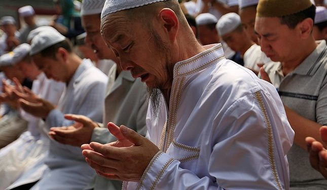 Terima Kunjungan Diaspora Uighur, MUI Tampung Kesaksian Sikap Cina