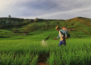 Bagaimanakah Etos Kerja Menurut Islam?