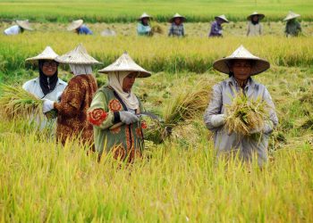 Apakah Keutamaan Bekerja untuk Mencari Nafkah Menurut Islam
