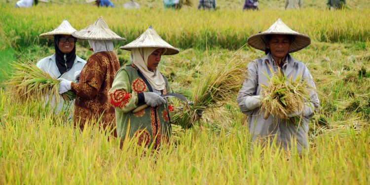 Apakah Keutamaan Bekerja untuk Mencari Nafkah Menurut Islam