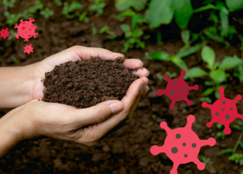 Lahan Makam Covid-19 DKI Jakarta Terbatas, Ketua MUI Sarankan Pemakaman Masal