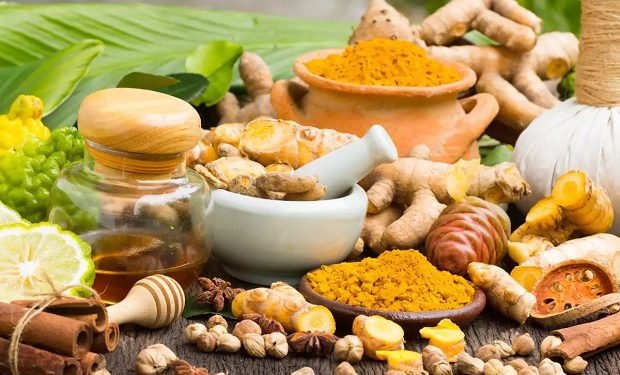 Di Webinar MUI, Pakar: Herbal Berpotensi Jadi Obat Alternatif Covid-19.