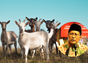 Sabar Berkurban Menuju Qurban