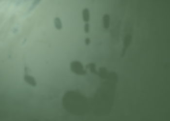 MUI Percayakan Kasus Wafatnya  Ketua MUI Labura kepada Aparat Hukum