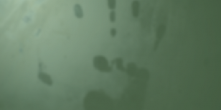 MUI Percayakan Kasus Wafatnya  Ketua MUI Labura kepada Aparat Hukum