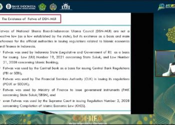 Potensi Keuangan Sosial Islam, Begini Penjelasannya DSN MUI