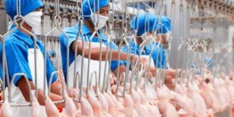 cara-pengucapan-bismillah-untuk-rumah-potong-hewan-sekali-saja-atau-ΓÇª.