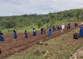 Kerukunan di Pedalaman Baduy dan Sepenggal Kisah Mualaf