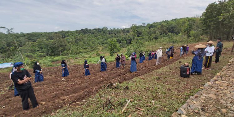 Kerukunan di Pedalaman Baduy dan Sepenggal Kisah Mualaf
