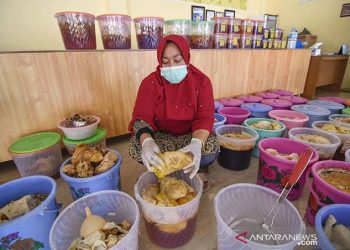 Peran Sukuk Negara dalam Penguatan UMKM di Indonesia