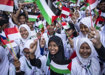 MUI Dorong Pembatasan Hak Veto PBB Demi Bantu Palestina