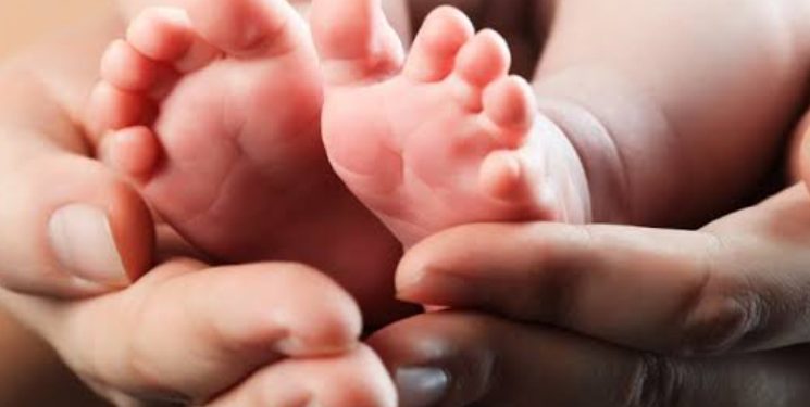 apa-hukum-dan-kajian-tentang-sunat-bagi-perempuan