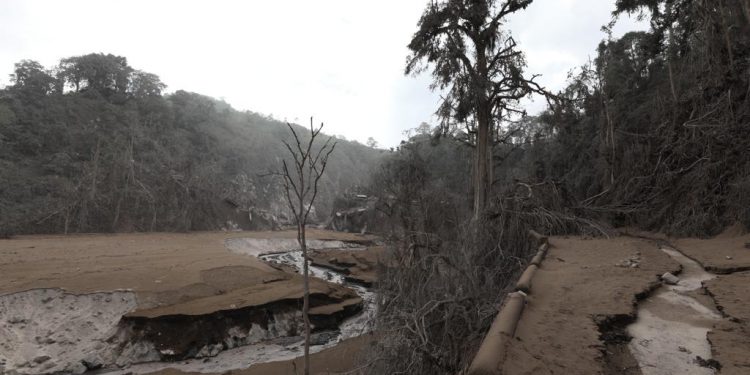Ketum MUI Jatim Sampaikan Duka Cita untuk Korban Erupsi Semeru