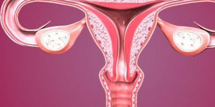 apa-hukum-rahim-buatan.-boleh-cangkok-asalΓÇª