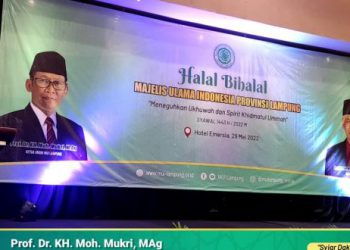 prof.-mukri-:-pengurus-itu-bukan-diurusi,-tapi-ngurusi