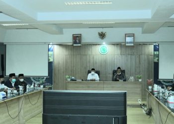 DPR Bahas Legalisasi Ganja untuk Medis, KH Ma’ruf Amin: MUI Harus Membuat Fatwanya
