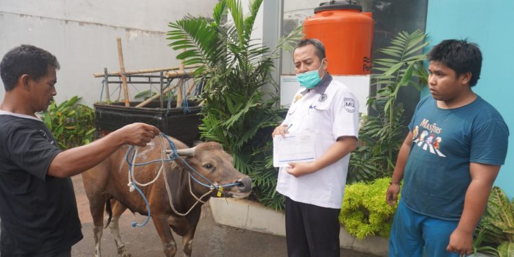 MUI Perpanjang Batas Pengiriman Call For Papers Peran Fatwa MUI dalam Perubahan Sosial Sampai 19 Juli 2022