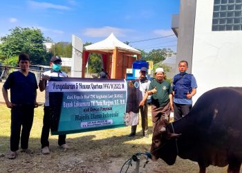 MUI Perpanjang Batas Pengiriman Call For Papers Peran Fatwa MUI dalam Perubahan Sosial Sampai 19 Juli 2022