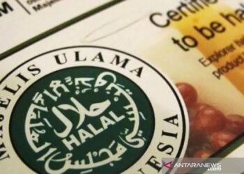 Target 25 Ribu Produk Halal Gratis, MUI dan BPJPH Perkuat Akselerasi Halal