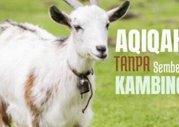 aqiqah-anak-tanpa-potong-kambing,-hukumnya-bagaimana? 