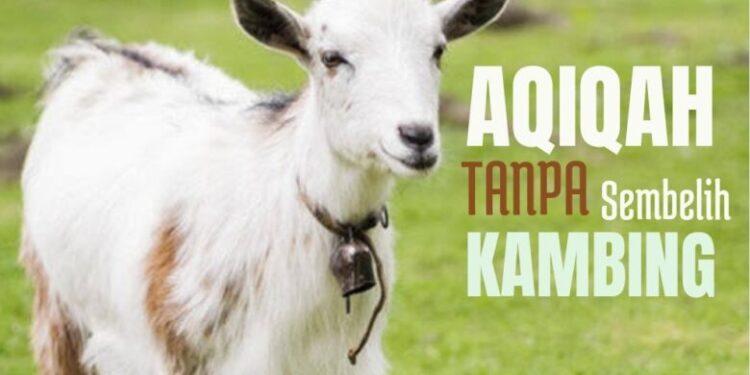 aqiqah-anak-tanpa-potong-kambing,-hukumnya-bagaimana?