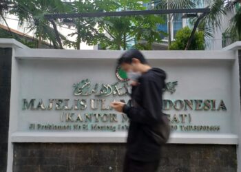 DSN MUI Sosialisasikan Sepuluh Fatwa Terbaru Terkait Ekonomi dan Keuangan Syariah Secara Daring