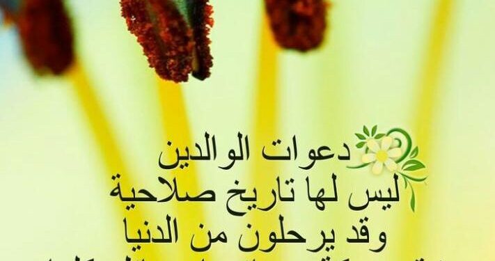 doa-ibu-tak-pernah-kadaluarsa