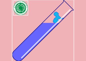 Bagaimana Fatwa MUI tentang Hukum Bayi Tabung?