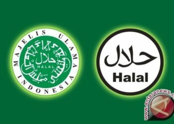 Yuk Kenali Standard Kehalalan Kosmetik Berdasarkan Fatwa MUI!