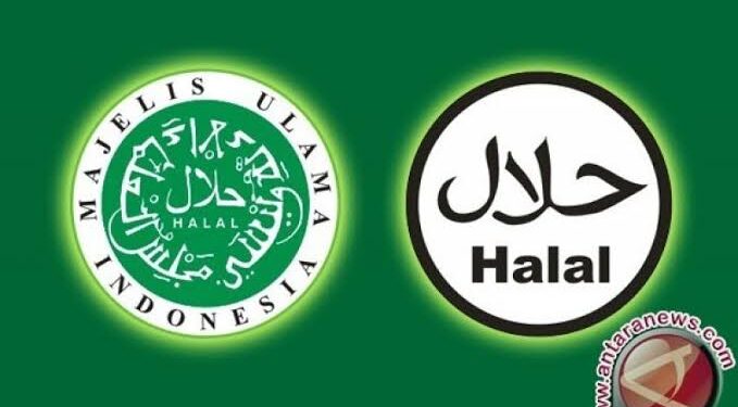 Yuk Kenali Standard Kehalalan Kosmetik Berdasarkan Fatwa MUI!