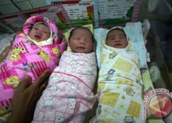 Ketentuan Hukum Syar’i Terkait Donor Air Susu Ibu Menurut Fatwa MUI