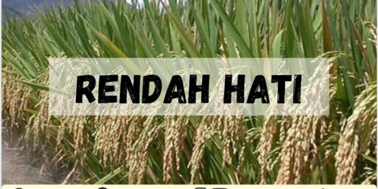 goresan-pagi:-rendah-hati-kepada-sesama-insan