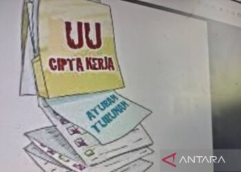 Soroti Perppu Cipta Kerja, Dirut LPPOM: Jangan Ada Standard Ganda Sertifikasi Halal