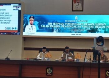 tidak-sah-dikurbankan-jika-hewan-miliki-4-cacat-ini