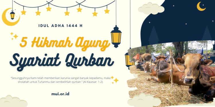 Idul Adha dan 5 Hikmah Agung Syariat Qurban