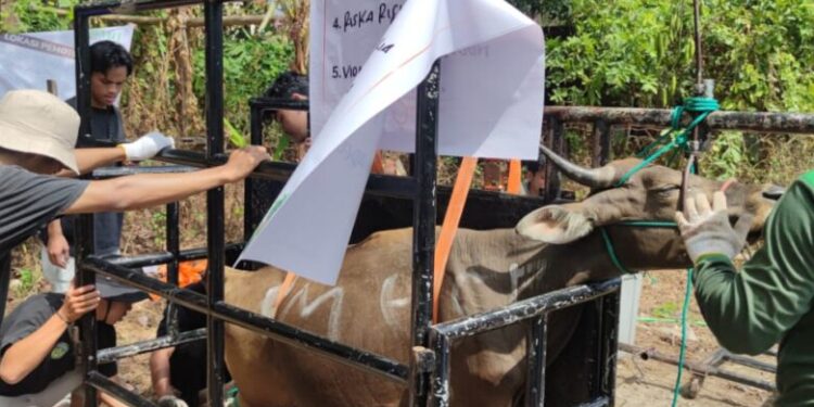 anda-mampu?-segera-berkurban