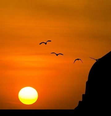 Refleksi Maulid Nabi: Rasulullah, Teladan dalam Menegakkan Hukum yang Adil
